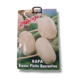 Bustina di semi di rapa Bianca Piatta Quarantina Mirage con immagine dei bulbi su sfondo verde